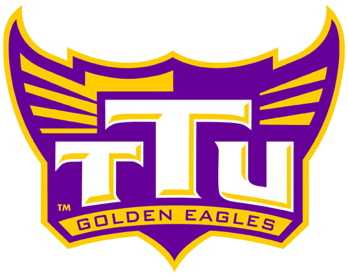 Tennessee Tech Golden Eagles 2006-Pres Alternate Logo v6 iron on transfers for T-shirts